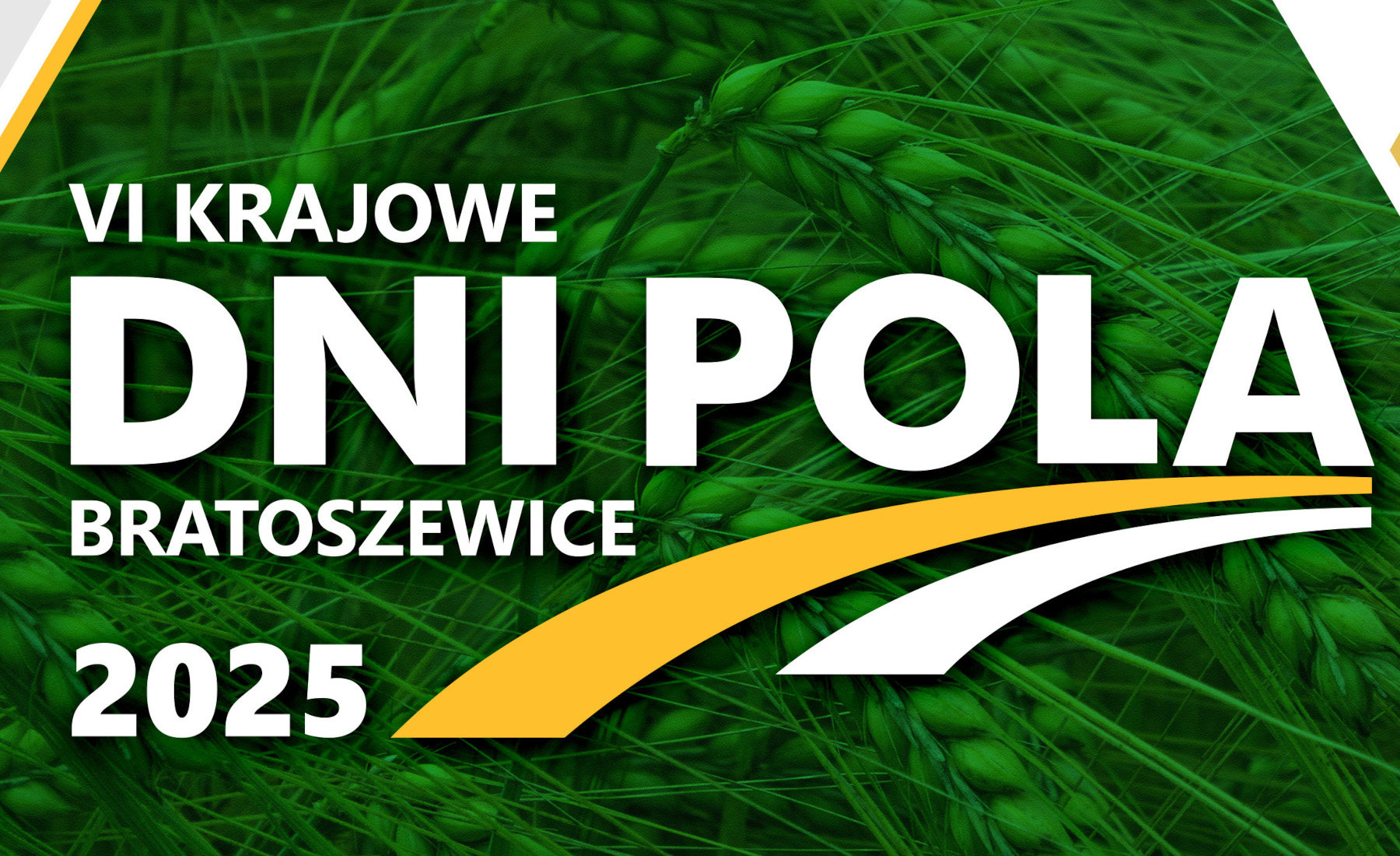 Grafika Dni Pola