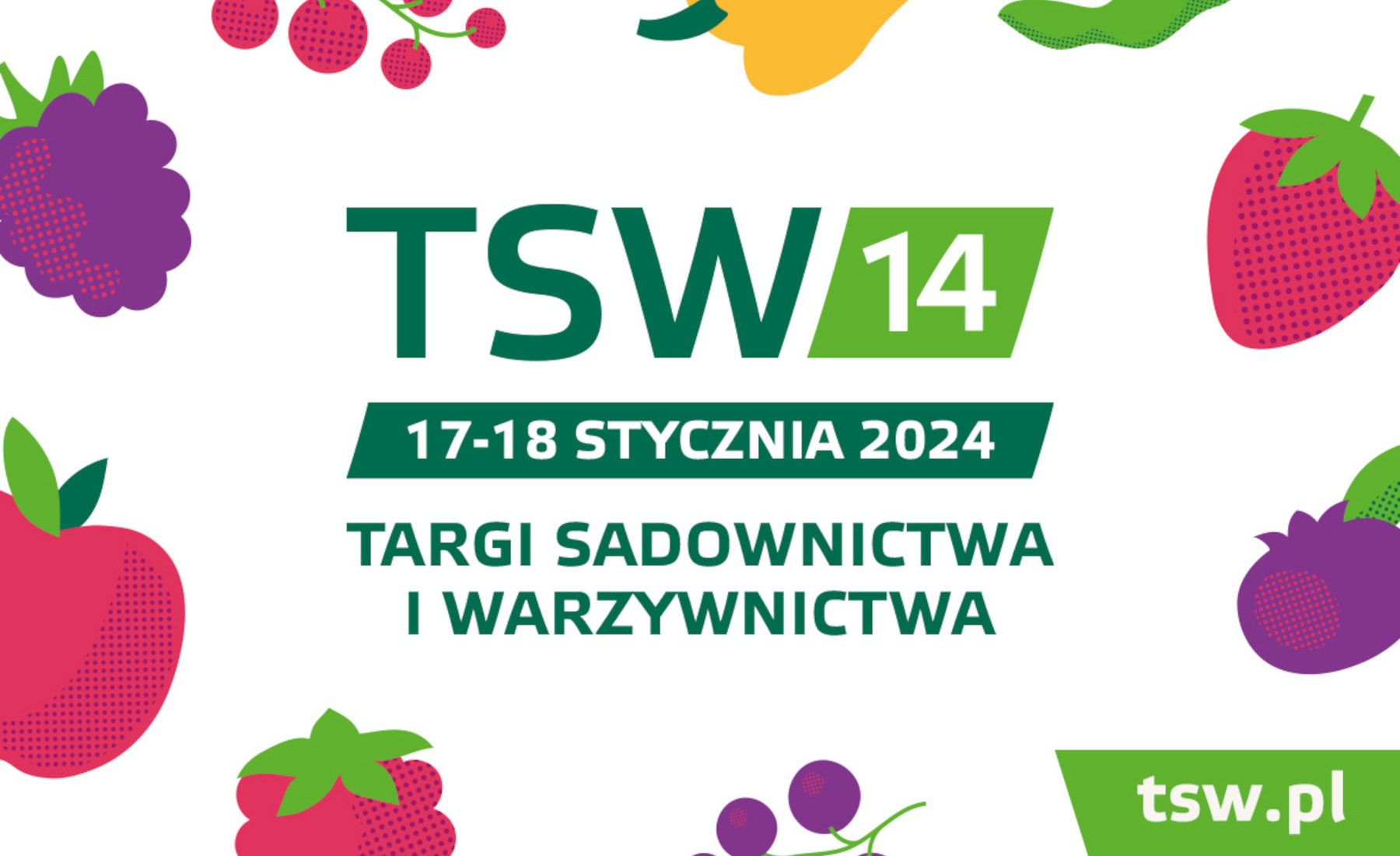 Grafika TSW